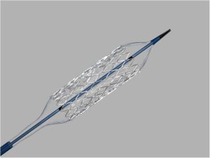 Stent expansível por balão Formula 418®