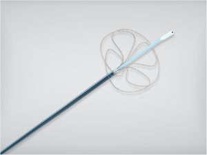 Cateter laço INDY OTW™