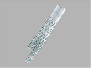 Enxerto Endovascular Zenith AAA Flex