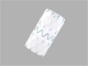 Extensão do Corpo Principal Zenith Alpha™