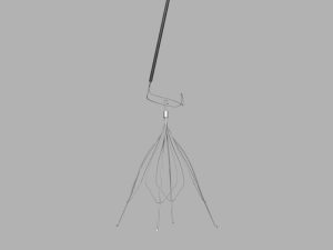 Kit de Retirada de Filtro de Veia Cava