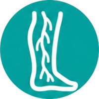 Cirurgia Vascular Periférica