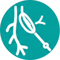 Radiologia Intervencionista
