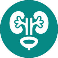 Urologia